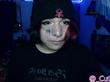 _cutie_sam