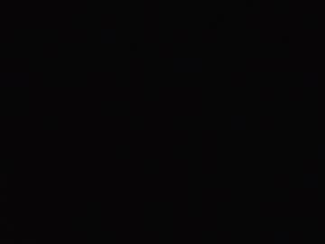 _lilymyau_