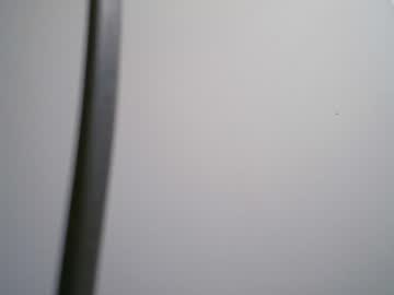 black_tentationx