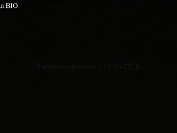 falinecrosthwaite