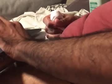 hornypornythings