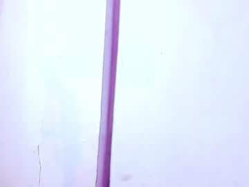 latino_valentino