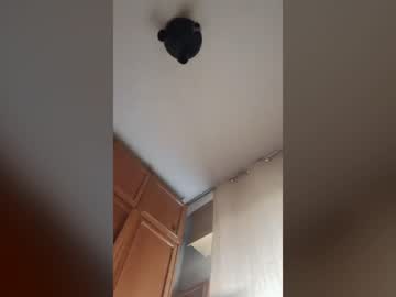pollon20cm69