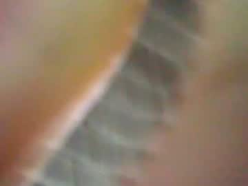 sweetsinx122269