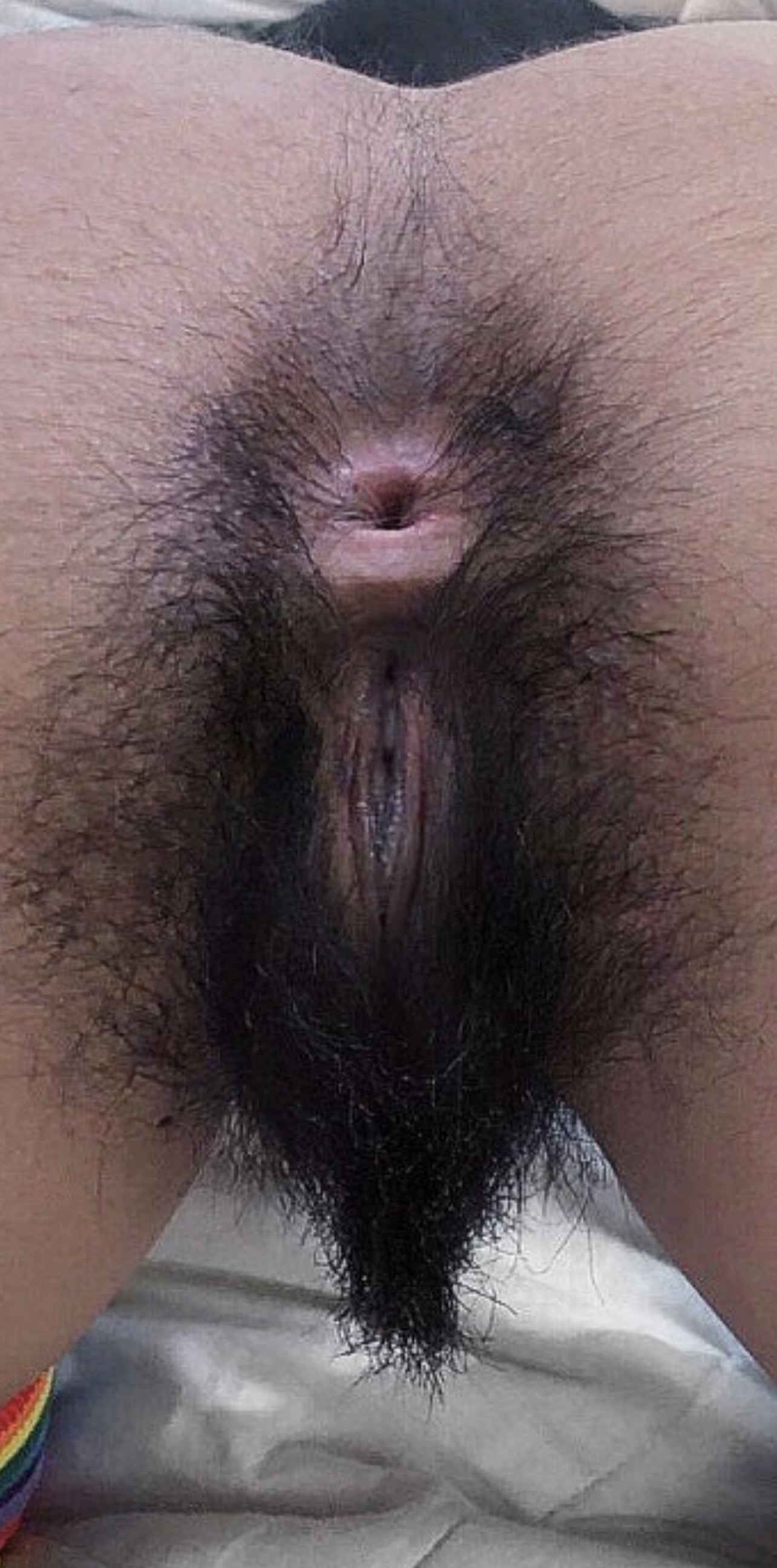 My Favorite Hairy Pussies #15 — 51