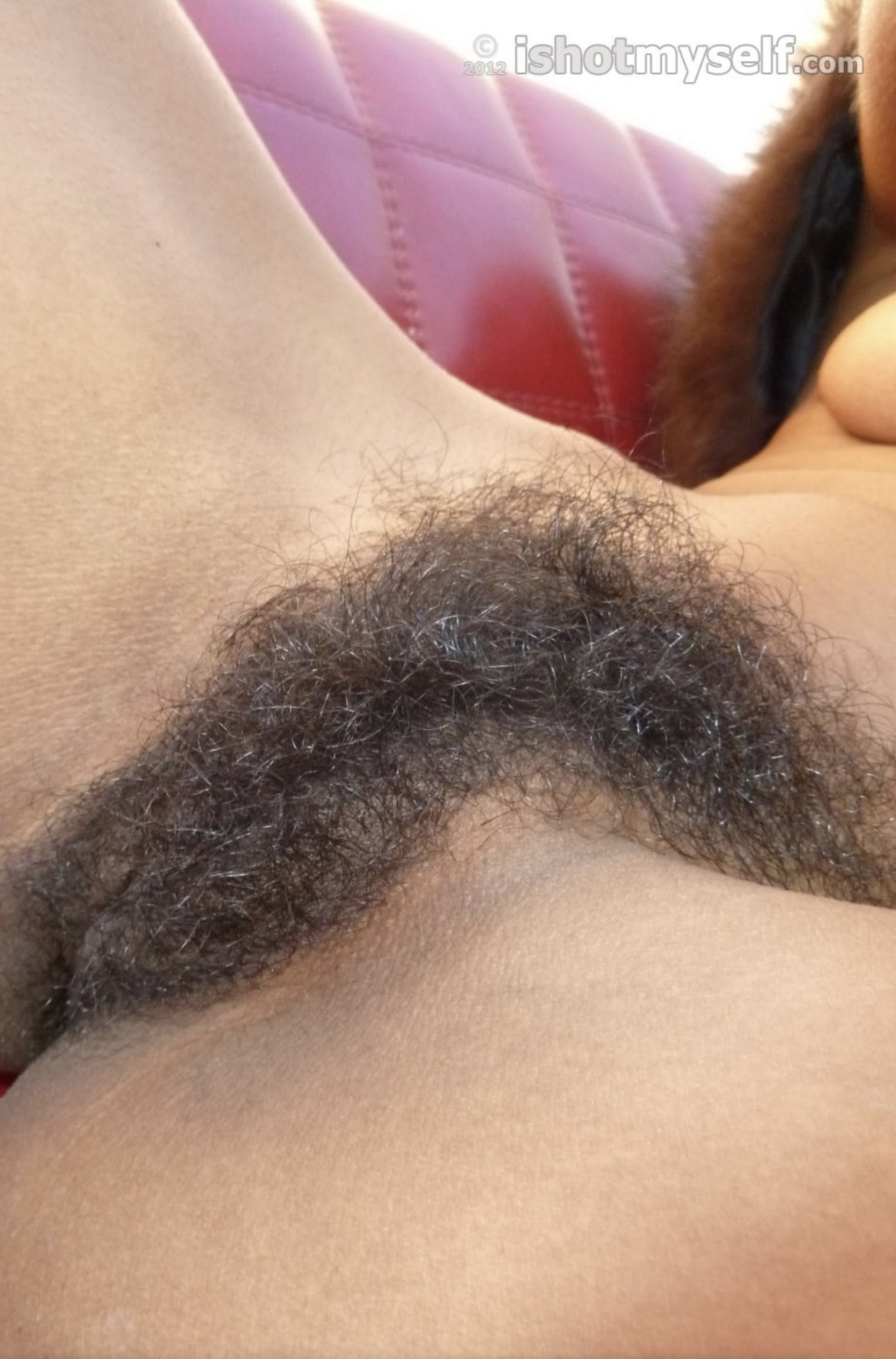 EBONY. - beautiful and naturally hairy pussies — 57